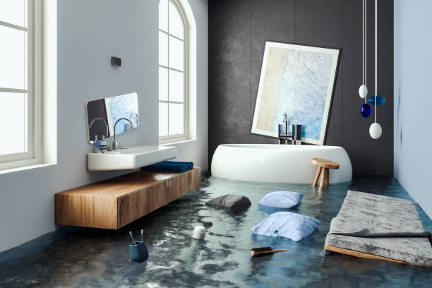 Water damage restoration mold remediation in Sunland Park, NM