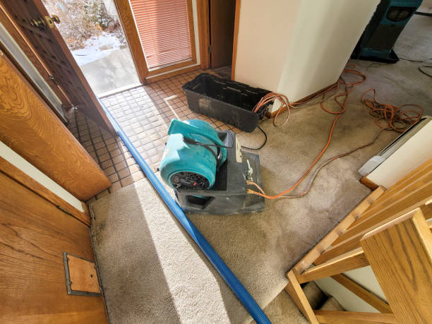 Best Water damage restoration near me  in Sunland Park, NM