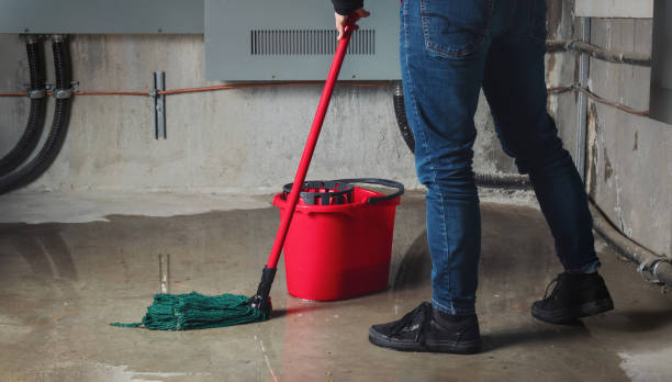 Best Commercial water damage restoration  in Sunland Park, NM