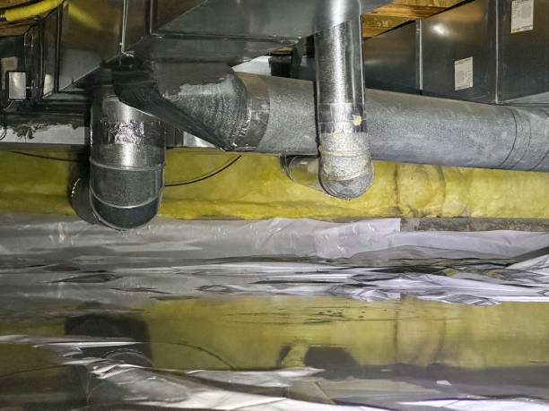 Best Sewage cleanup and water damage restoration  in Sunland Park, NM