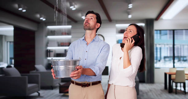 Best Mold removal after water damage  in Sunland Park, NM